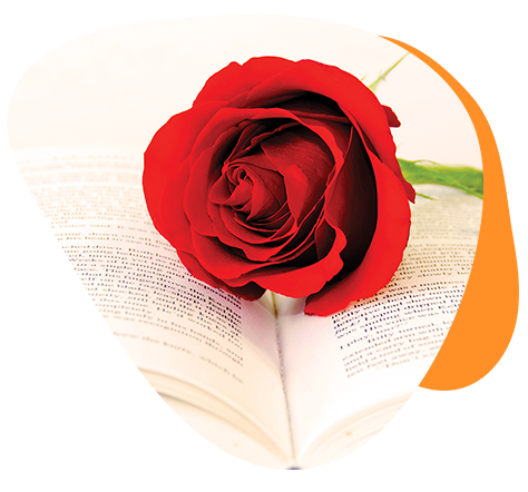 A red rose sits on top of an open book.